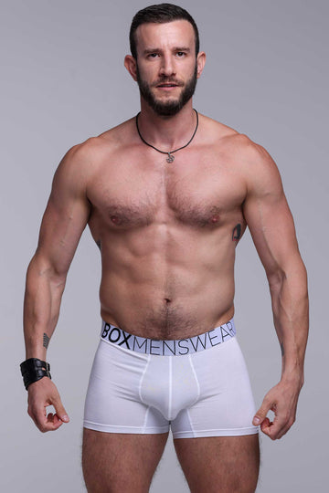 male vibrating boxers CalExotics Remote Control Discreet Vibrator Boxer Brief Set - L/Xl