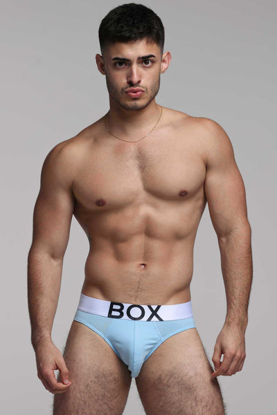 Mens Blue Briefs