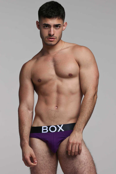 Mens Purple Briefs