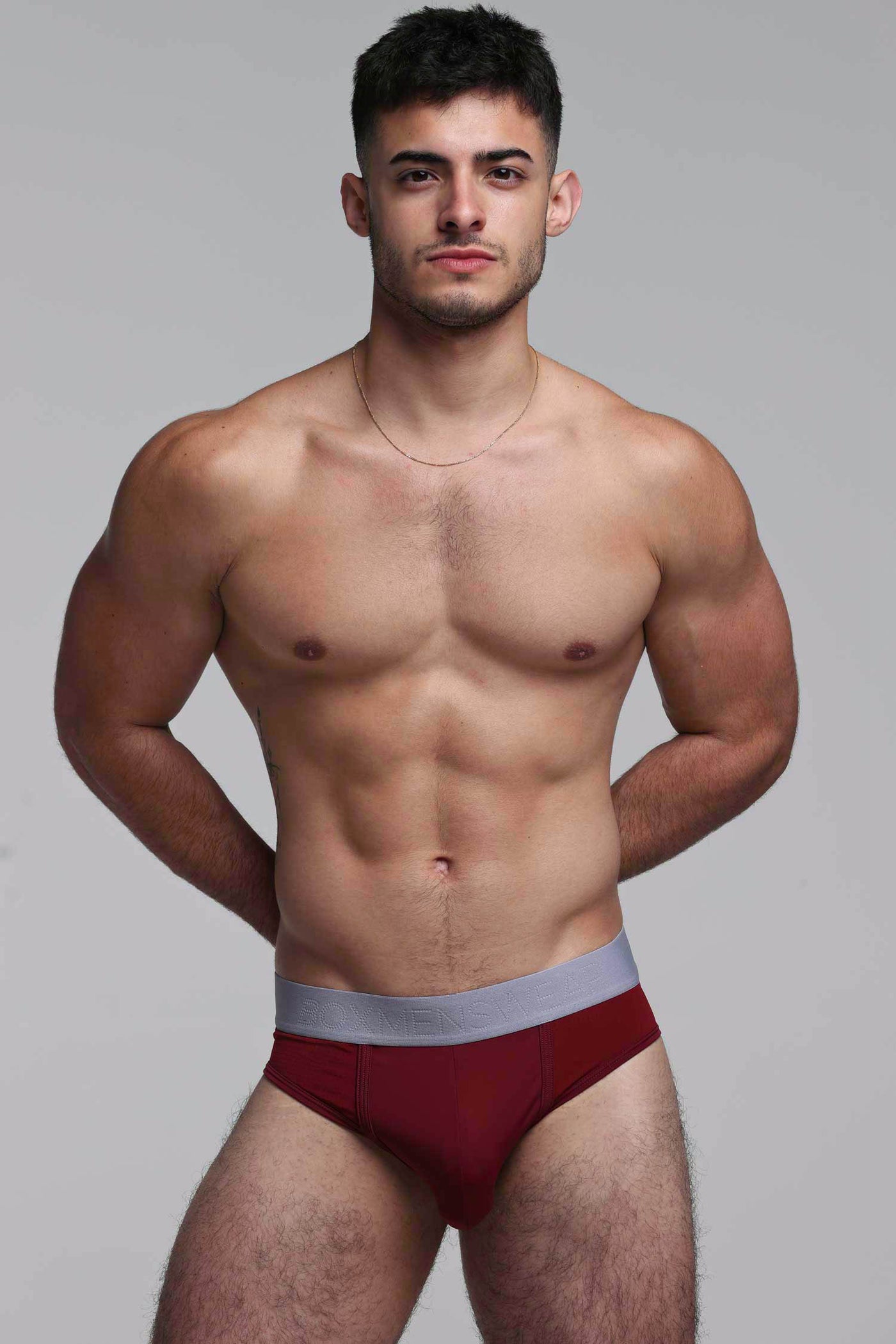 Mesh Panel Briefs - Burgundy Bordeaux