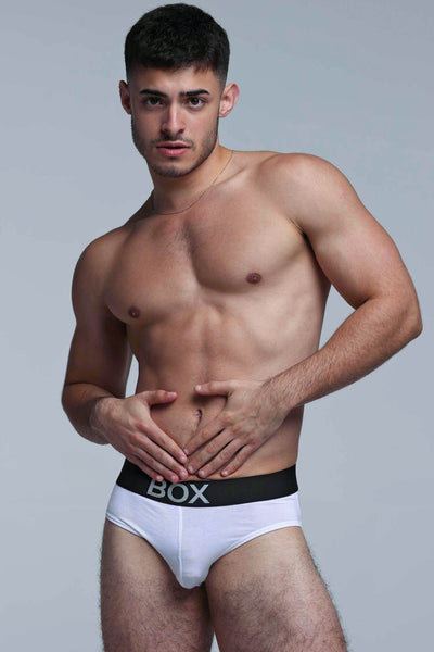 Metallic Modal Briefs - White & Silver