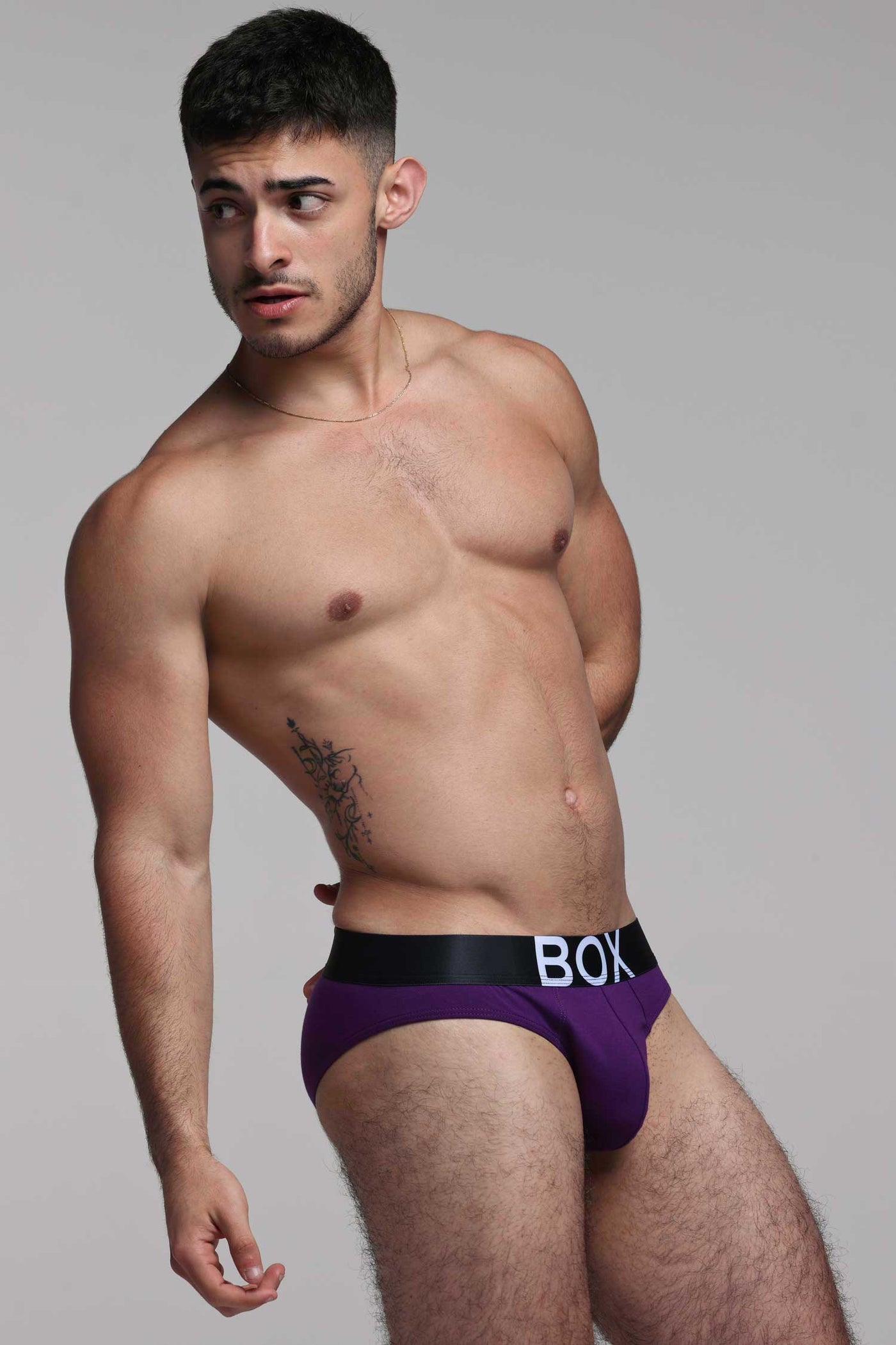 Mens Purple Briefs