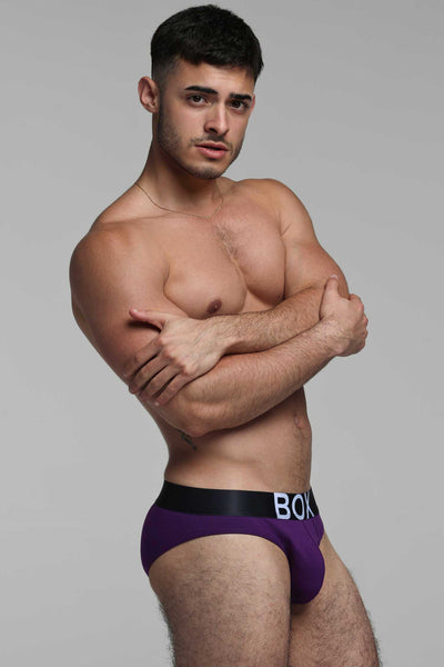 Mens Purple Briefs