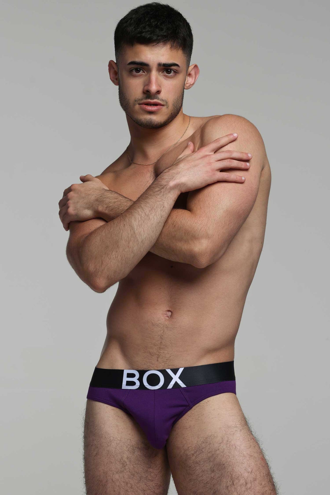 Mens Purple Briefs
