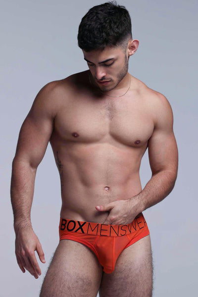 All Over Mesh Briefs - Orangeade