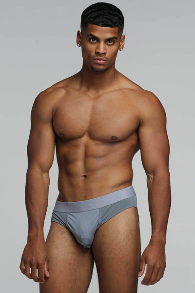 Mesh Panel Briefs - Regal Grey