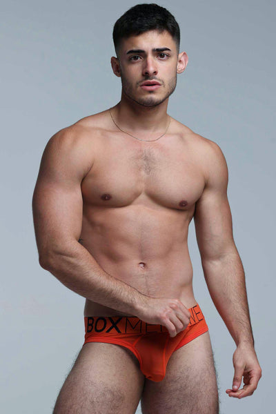 All Over Mesh Briefs - Orangeade