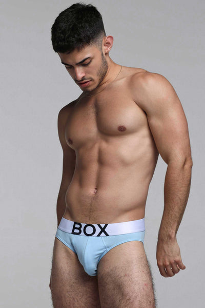 Mens Blue Briefs