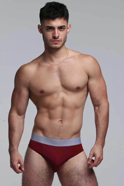 Mesh Panel Briefs - Burgundy Bordeaux