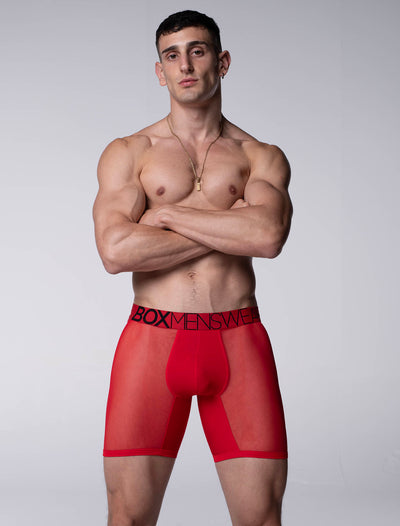 King Fit Mesh Panel - Transparent Crotch: Direct Red