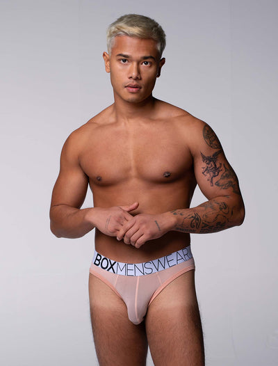 All Over Mesh Briefs - Nearly Nude