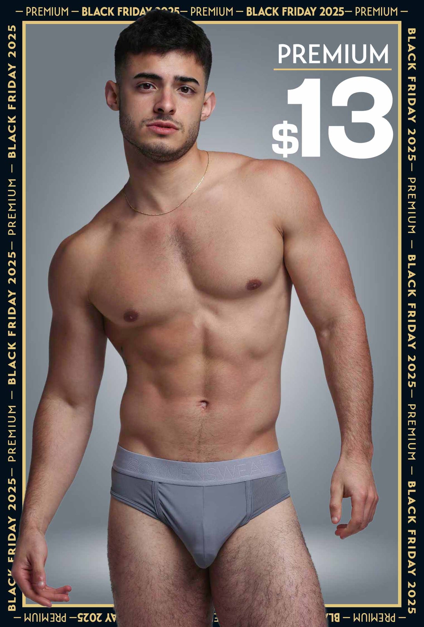 Mesh Panel Briefs - Regal Grey