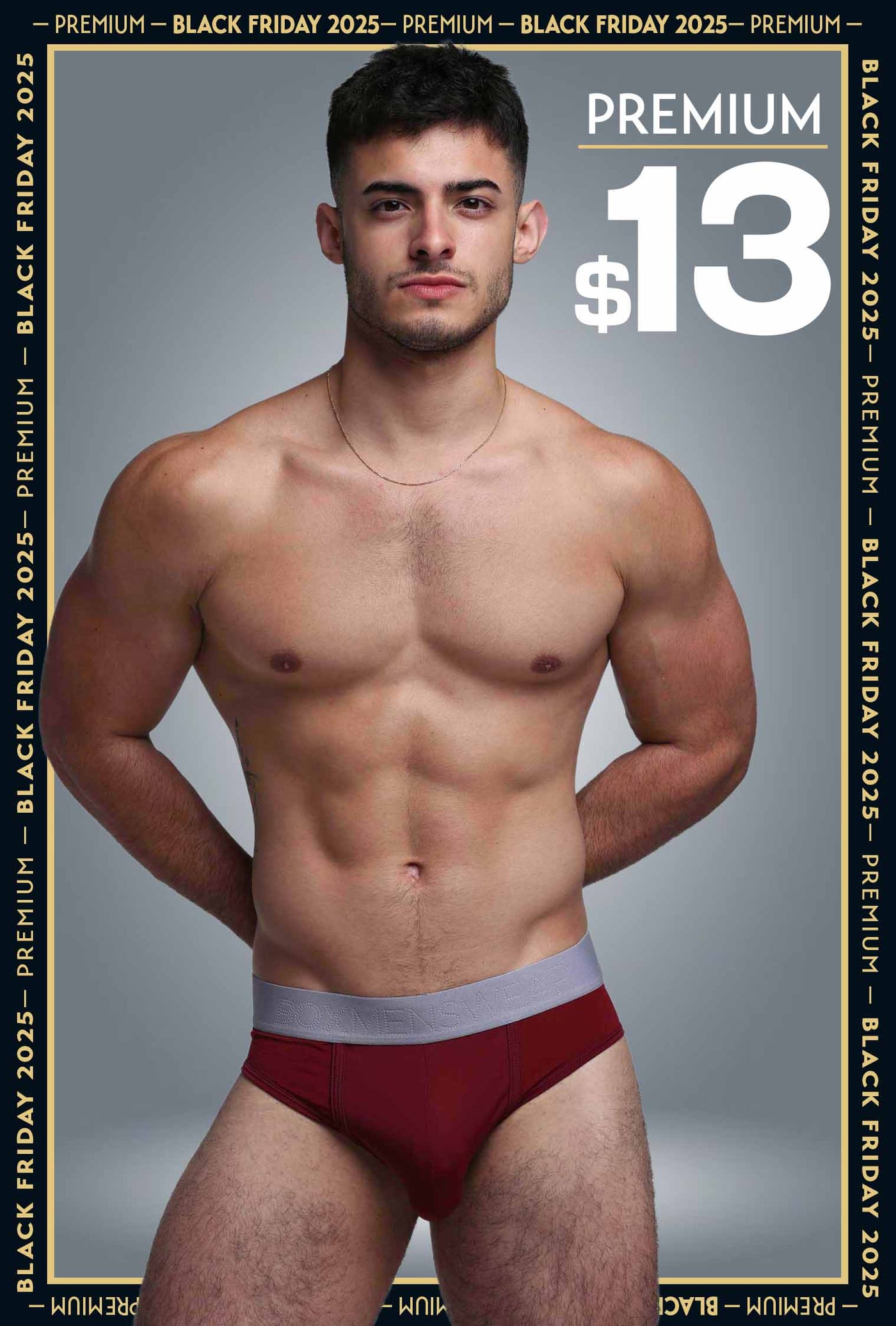 Mesh Panel Briefs - Burgundy Bordeaux