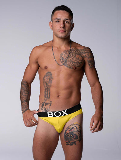 Limited Edition Briefs Bundle - Purple and Yellow - boxmenswear - {{variant_title}}